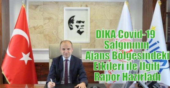 DİKA Covid-19 Salgınının Ajans Bölgesindeki Etkileri ile İlgili Rapor Hazırladı