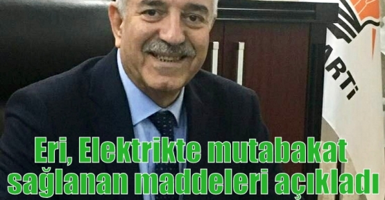 Eri, Elektrikte mutabakat sağlanan hususları açıkladı