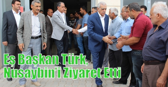 Eş Başkan Türk, Nusaybin’i Ziyaret Etti