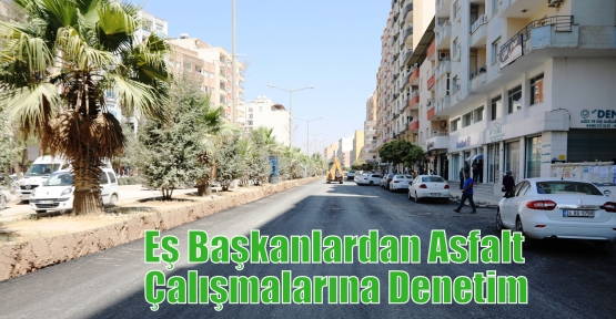 Eş Başkanlardan Asfalt Çalışmalarına Denetim