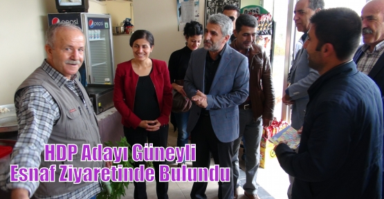 HDP Adayı Güneyliesnaf Ziyaretinde Bulundu