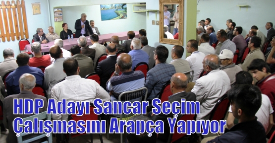 HDP Adayı Sancar Seçim Çalışmasını Arapça Yapıyor