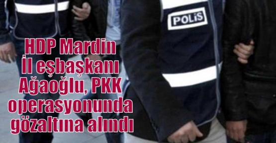 HDP Mardin İl eşbaşkanı Ağaoğlu, PKK operasyonunda gözaltına alındı   