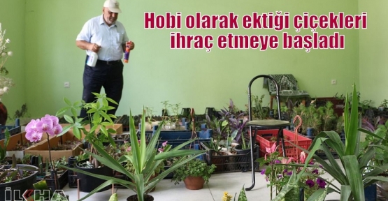 Hobi olarak ektiği çiçekleri ihraç etmeye başladı