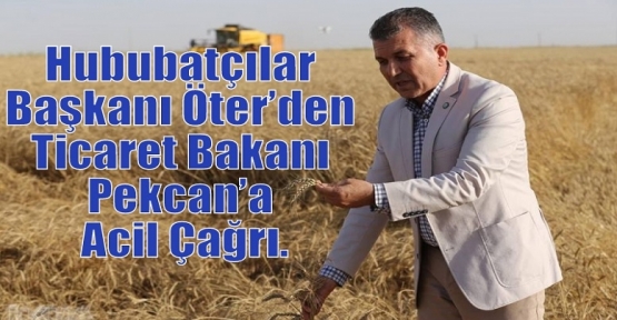 Hububatçılar Başkanı Öter’den Ticaret Bakanı Pekcan’a Acil Çağrı.