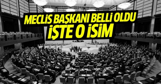 İsmet Yılmaz Meclis Başkanı seçildi