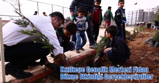 Kızıltepe Gençlik Merkezi Fidan Dikme Etkinliği Gerçekleştirdiler