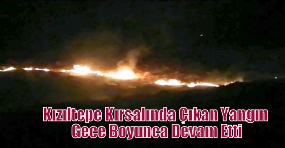 Kızıltepe Kırsalında Çıkan Yangın Gece Boyunca Devam Etti