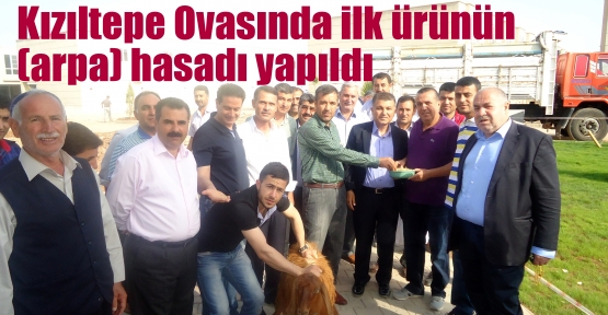 Kızıltepe Ovasında ilk ürün arpa hasadı yapıldı