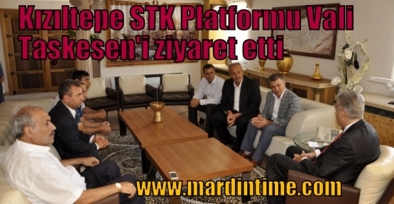 Kızıltepe STK Platformu Vali Taşkesen'i ziyaret etti