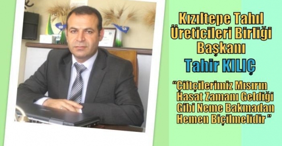 Kızıltepe Tahıl Üreticileri Birliği Başkanı Tahir KILIÇ Çiftçileri Mısırın hasadı  konusunda uyardı. 