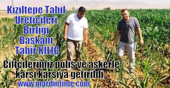 Kızıltepe Tahıl Üreticileri Birliği Başkanı Tahir KILIÇ;Çiftçilerimiz polis ve askerle karşı karşıya getirildi,  