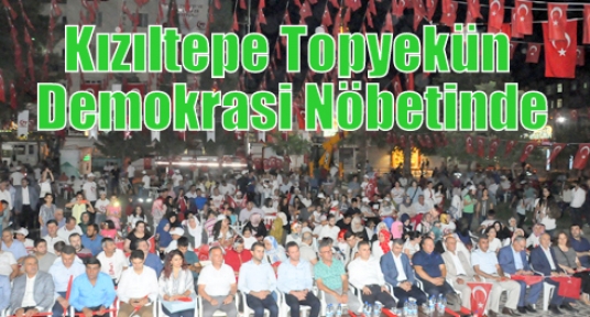 Kızıltepe Topyekün Demokrasi Nöbetinde