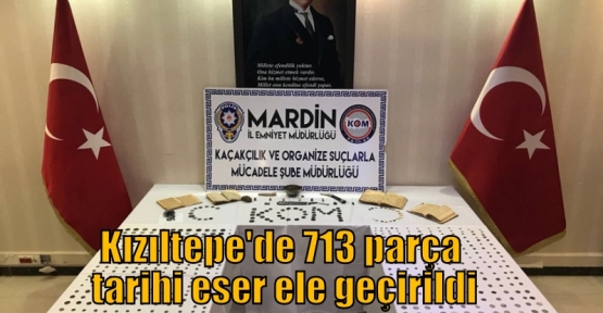 Kızıltepe'de 713 parça tarihi eser ele geçirildi