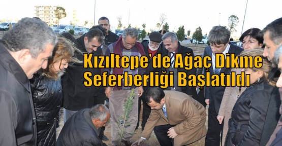 Kızıltepe’de Ağaç Dikme Seferberliği Başlatıldı