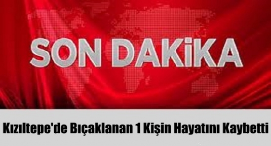 Kızıltepe'de Bıçaklanan 1 Kişin Hayatını Kaybetti.