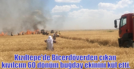 Kızıltepe'de Biçerdöverden çıkan kıvılcım 60 dönüm buğday ekinini kül etti.