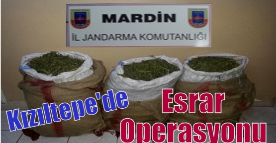 Kızıltepe'de Esrar Operasyonu