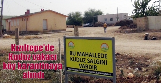 Kızıltepe'de Kuduz vakası köy karantinaya alındı   