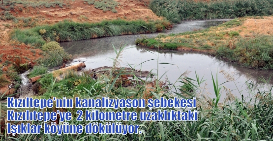 Kızıltepe’nin kanalizyasonunun üzerine aktığı köyde hastalıklardan geçilmiyor