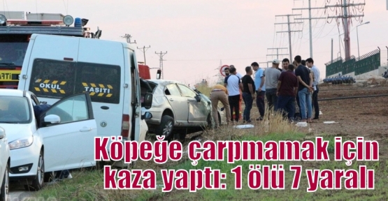 Köpeğe çarpmamak için kaza yaptı: 1 ölü 7 yaralı