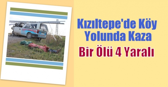 Köy Yolunda Kaza: Bir Ölü 4 Yaralı