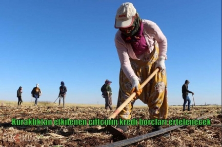 Kuraklıktan etkilenen çiftçinin kredi borçları ertelenecek