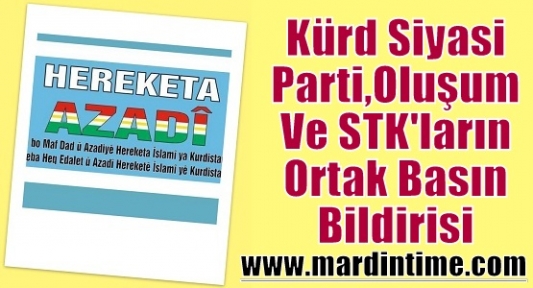  Kürd Siyasi Parti, Oluşum Ve STK'ların Ortak Basın Bildirisi 