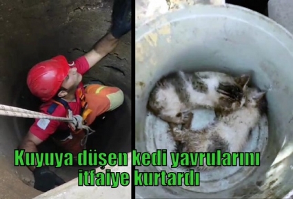 Kuyuya düşen kedi yavrularını itfaiye kurtardı