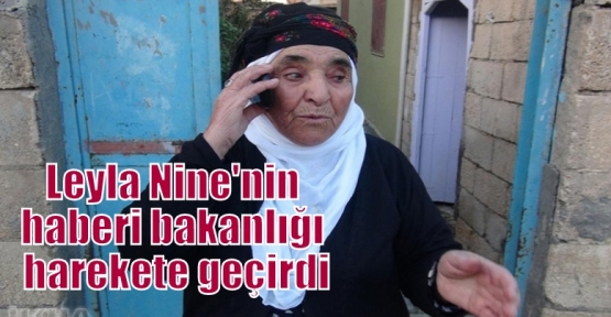 Leyla Nine'nin haberi bakanlığı harekete geçirdi