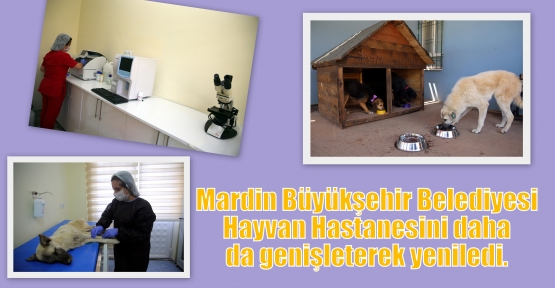 Mardin Büyükşehir Belediyesi Hayvan Hastanesini daha da genişleterek yeniledi. 