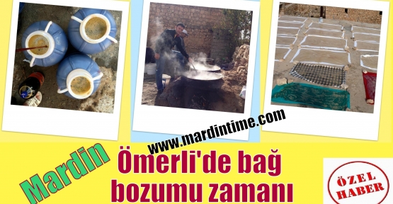 Mardin Ömerli'de bağ bozumu zamanı