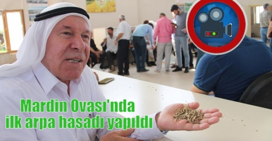 Mardin Ovası'nda ilk arpa hasadı yapıldı