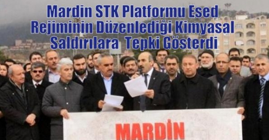 Mardin STK Platformu Esed Rejiminin Düzenlediği Kimyasal Saldırılara  Tepki Gösterdi