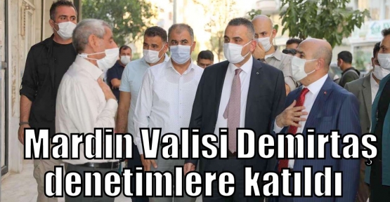 Mardin Valisi Demirtaş denetimlere katıldı