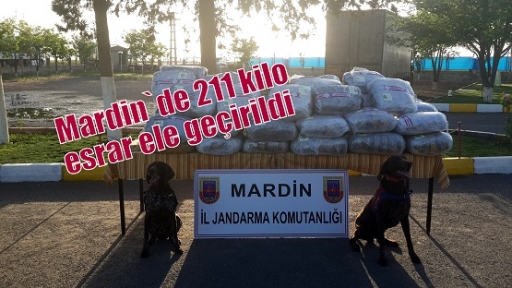 Mardin`de 211 kilo esrar ele geçirildi