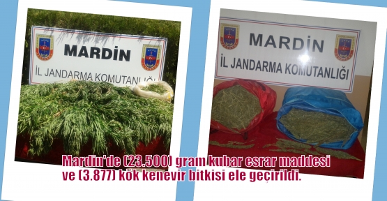 Mardin'de (23.500) gram kubar esrar maddesi ve  (3.877) kök kenevir bitkisi ele geçirildi.