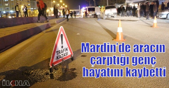 Mardin’de aracın çarptığı genç hayatını kaybetti 