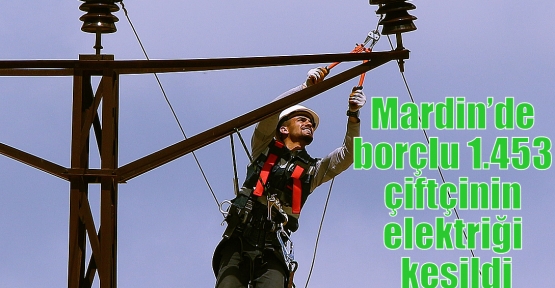 Mardin’de borçlu 1.453 çiftçinin elektriği kesildi