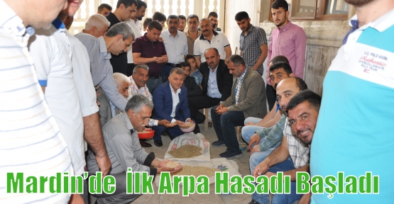                 Mardin’de  İlk Arpa Hasadı Başladı