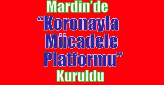 Mardin’de “Koronayla Mücadele Platformu” Kuruldu