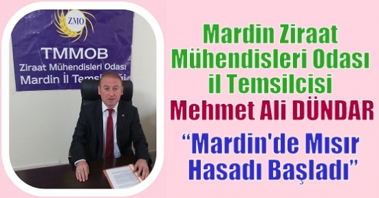 Mardin'de Mısır Hasadı Başladı