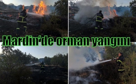 Mardin’de orman yangını