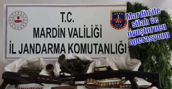 Mardin'de silah ve uyuşturucu operasyonu