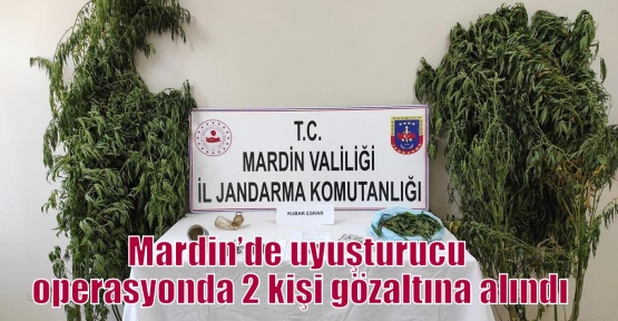 Mardin’de uyuşturucu operasyonda 2 kişi gözaltına alındı