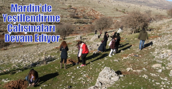 Mardin’de Yeşillendirme Çalışmaları Devam Ediyor