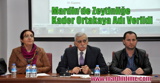 Mardin’de Zeytinliğe Kader Ortakaya Adı Verildi