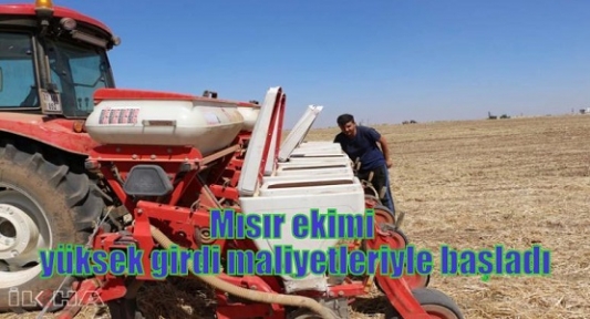 Mısır ekimi yüksek girdi maliyetleriyle başladı