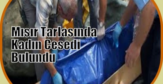 Mısır Tarlasında Kadın Cesedi Bulundu