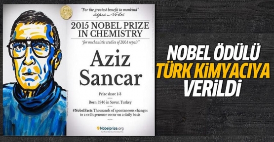 Nobel ödülü Türk'e verildi!